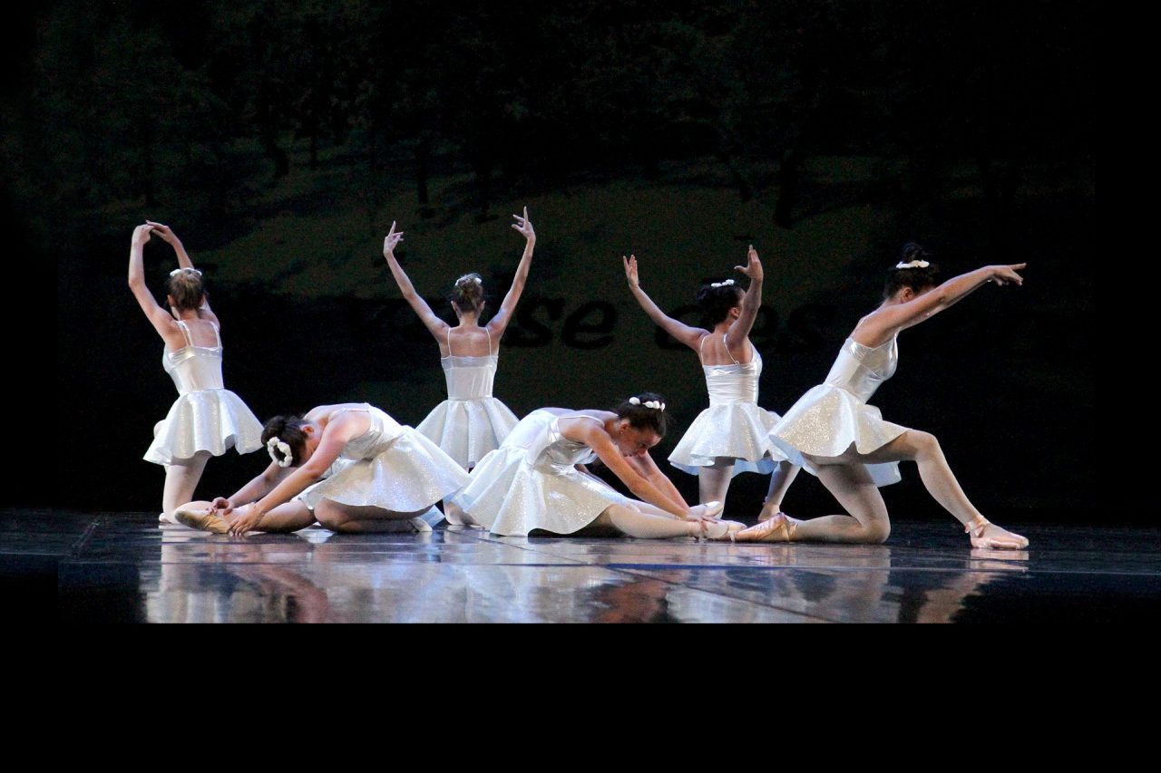 Sortir - Bouger - Culture - École de danse municipale d’Alès