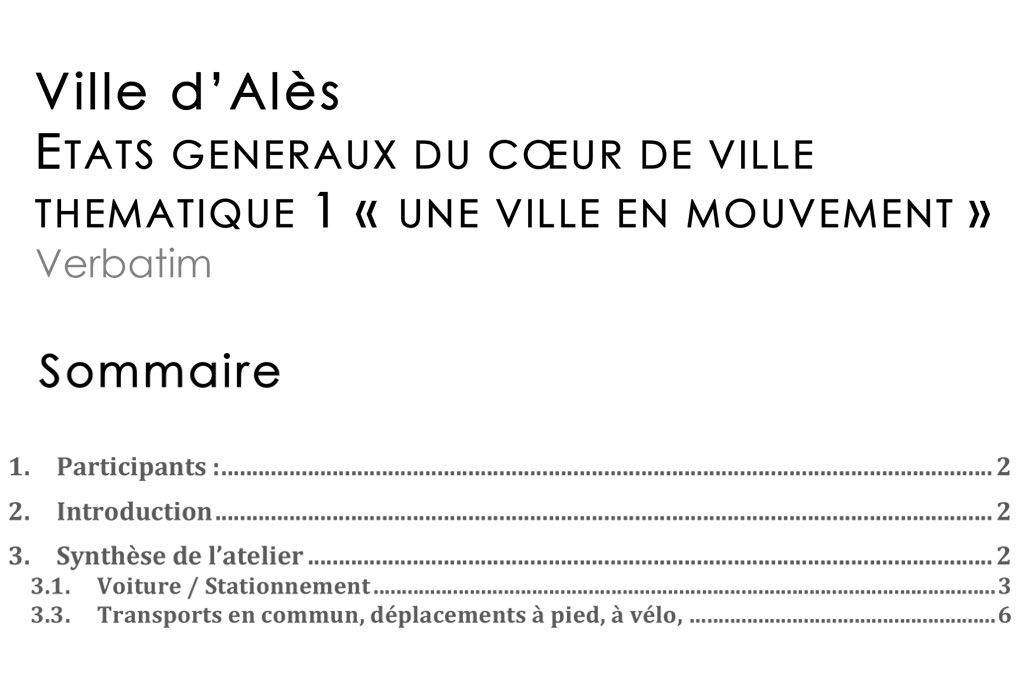 Thématique 1 - Une ville en mouvement - se déplacer, accéder, stationner - verbatim