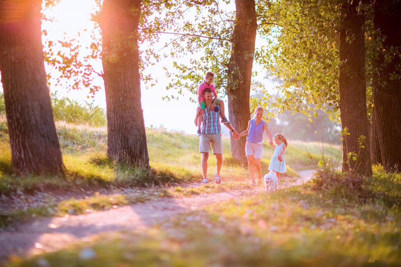 Sortir - Bouger - Sorties famille