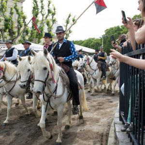 Les animations taurines, mis à part le lâcher d'anoubles et la corrida du dimanche, se sont tenues sous un soleil radieux.