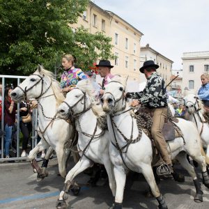 Les animations taurines, mis à part le lâcher d'anoubles et la corrida du dimanche, se sont tenues sous un soleil radieux.