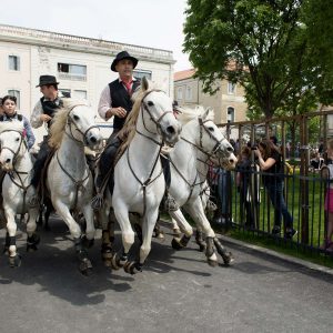 Les animations taurines, mis à part le lâcher d'anoubles et la corrida du dimanche, se sont tenues sous un soleil radieux.