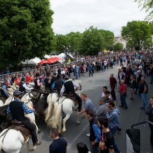 Les animations taurines, mis à part le lâcher d'anoubles et la corrida du dimanche, se sont tenues sous un soleil radieux.