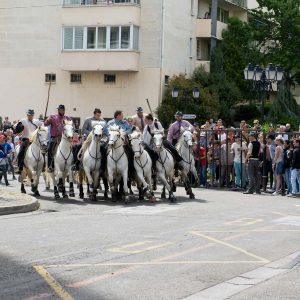 Les animations taurines, mis à part le lâcher d'anoubles et la corrida du dimanche, se sont tenues sous un soleil radieux.