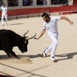 Les animations taurines, mis à part le lâcher d'anoubles et la corrida du dimanche, se sont tenues sous un soleil radieux.