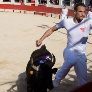 Les animations taurines, mis à part le lâcher d'anoubles et la corrida du dimanche, se sont tenues sous un soleil radieux.