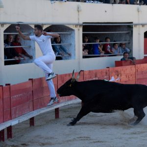 Les animations taurines, mis à part le lâcher d'anoubles et la corrida du dimanche, se sont tenues sous un soleil radieux.
