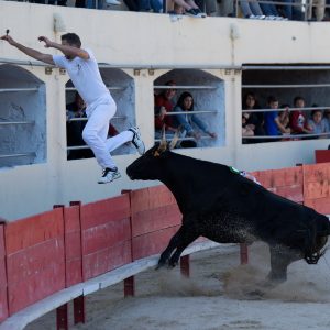 Les animations taurines, mis à part le lâcher d'anoubles et la corrida du dimanche, se sont tenues sous un soleil radieux.