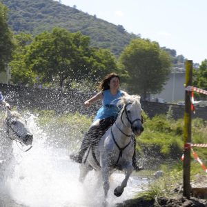 Les animations taurines, mis à part le lâcher d'anoubles et la corrida du dimanche, se sont tenues sous un soleil radieux.