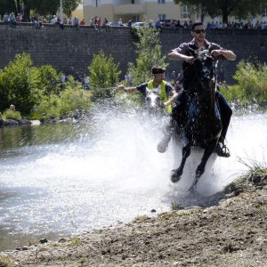 Les animations taurines, mis à part le lâcher d'anoubles et la corrida du dimanche, se sont tenues sous un soleil radieux.