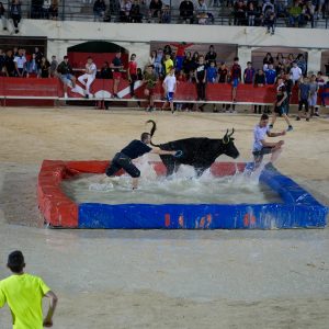 Les animations taurines, mis à part le lâcher d'anoubles et la corrida du dimanche, se sont tenues sous un soleil radieux.