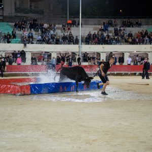 Les animations taurines, mis à part le lâcher d'anoubles et la corrida du dimanche, se sont tenues sous un soleil radieux.