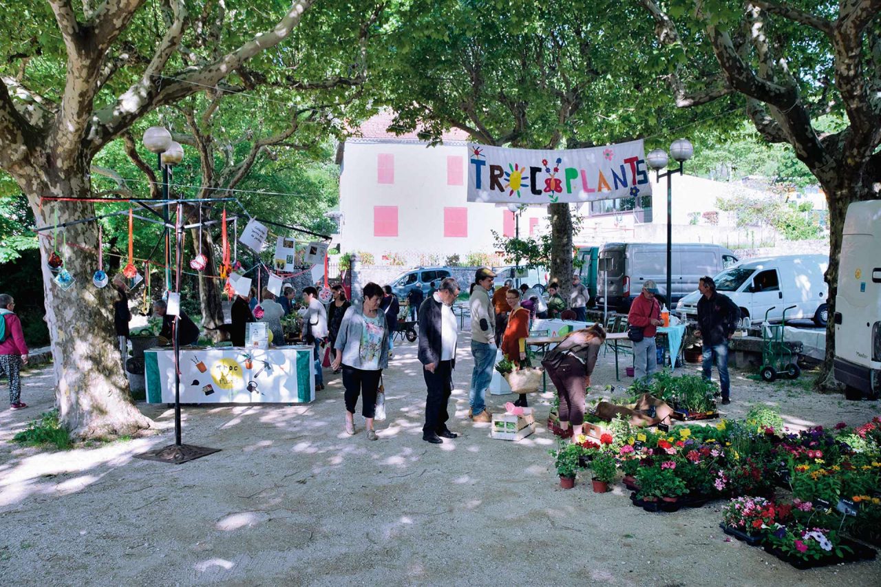 Comme chaque année, venez rencontrer et échanger, place du Colombier, autour des plants.