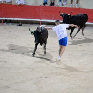 Entrevilles
