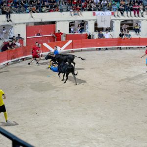 Entrevilles
