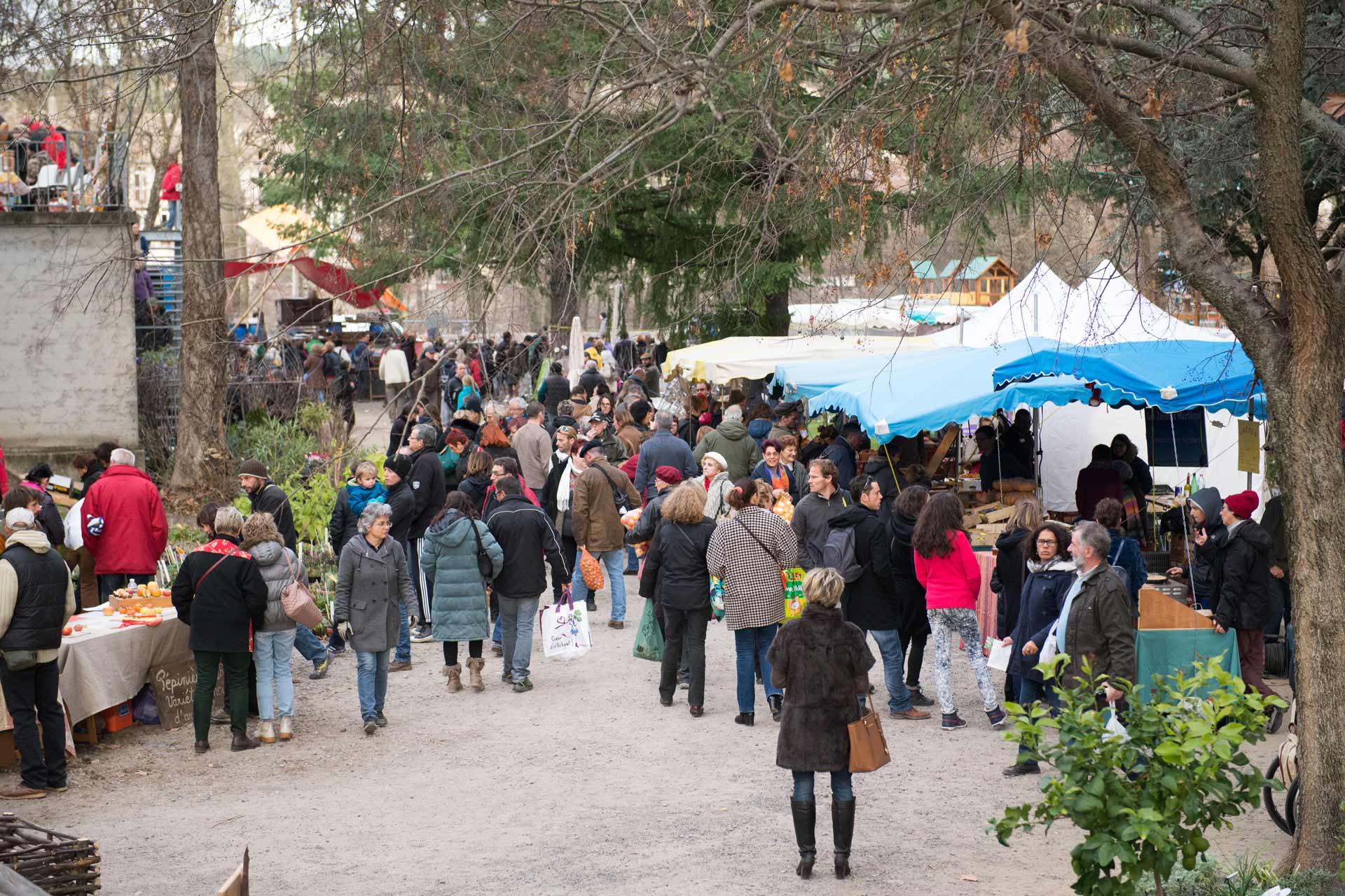 L’Espace Paulhan réunira pépiniéristes et associations environnementales durant le week-end.