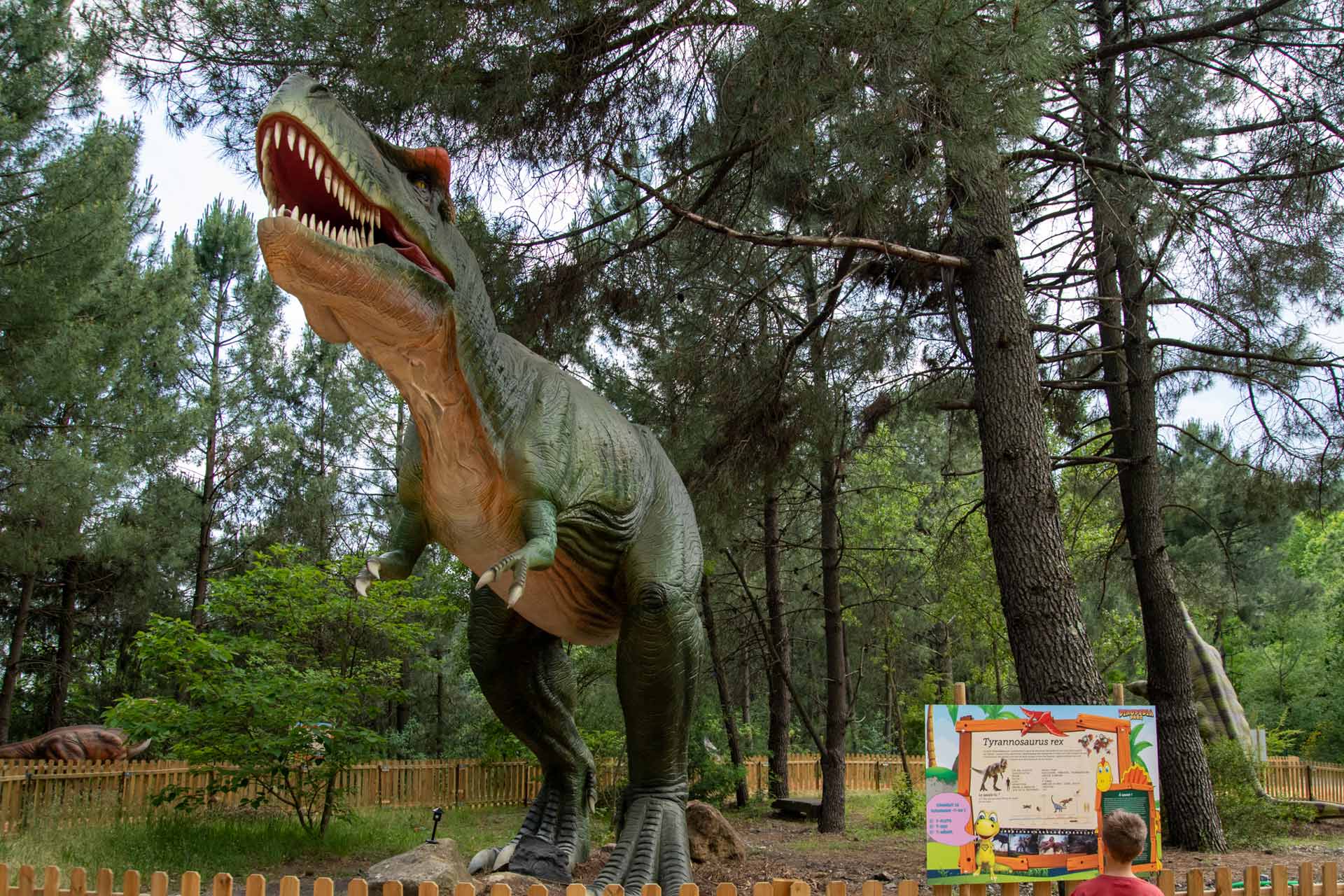 Dinopedia Parc, une expérience unique dans le Gard, propose en accès libre exposition d’animatroniques dont un T-Rex de 6 mètres de haut et 15 de long.