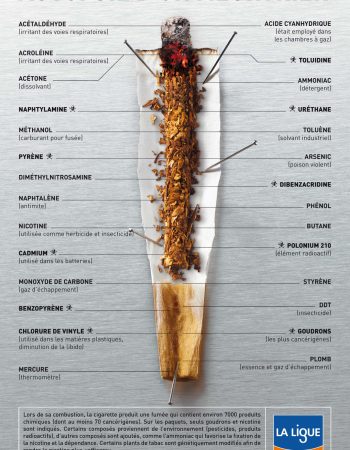 actualite-sante-mois-sans-tabac-autopsie-cigarette
