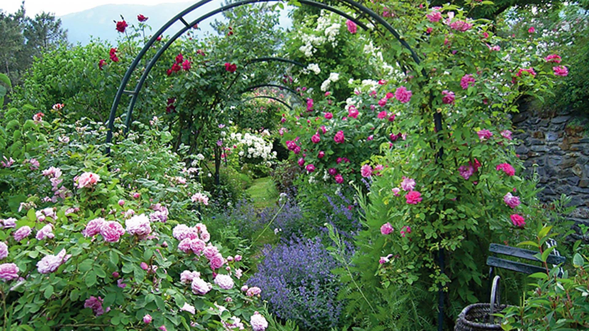 actualites-festivites-page-ete-jardin-tomple actualites-festivites-page-ete-jardin-tomple