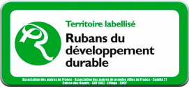 logo-rubans-developpement-durable